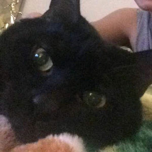 Meet your Posher, Maurissa